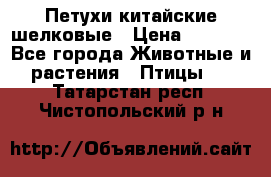 Петухи китайские шелковые › Цена ­ 1 000 - Все города Животные и растения » Птицы   . Татарстан респ.,Чистопольский р-н